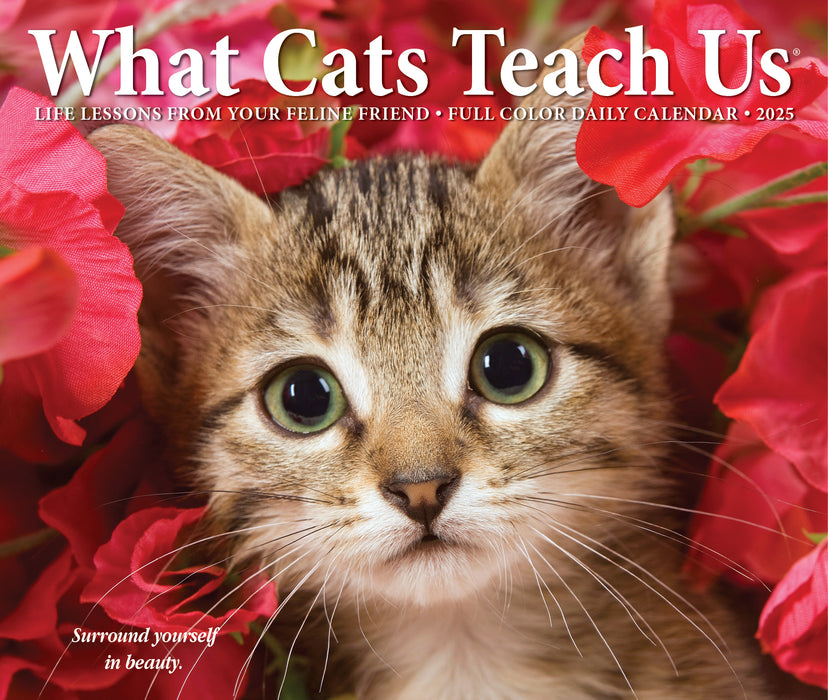 2025 What Cats Teach Us Page-A-Day Calendar