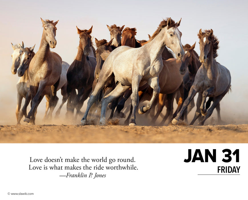 2025 What Horses Teach Us Page-A-Day Calendar