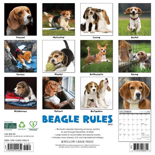 2025 Beagle Rules Wall Calendar by  Willow Creek Press from Calendar Club