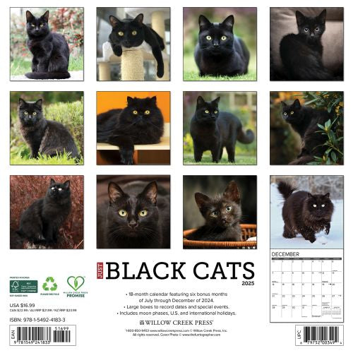 2025 Black Cats Wall Calendar
