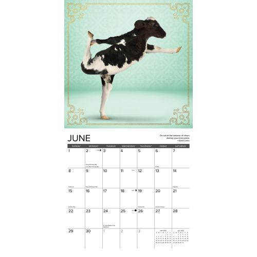 2025 Cow Yoga Wall Calendar