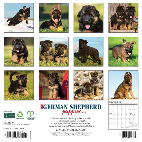 2025 German Shepherd Puppies Wall Calendar by  Willow Creek Press from Calendar Club