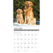 2025 Goldens Wall Calendar by  Willow Creek Press from Calendar Club