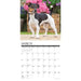 2025 Jack Russells Wall Calendar by  Willow Creek Press from Calendar Club