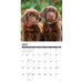 2025 Lab Puppies Wall Calendar by  Willow Creek Press from Calendar Club