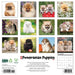 2025 Pomeranian Puppies Wall Calendar by  Willow Creek Press from Calendar Club