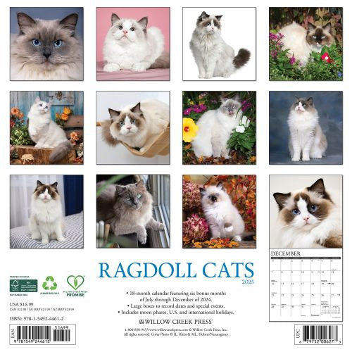 2025 Ragdoll Cats Wall Calendar