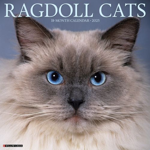 2025 Ragdoll Cats Wall Calendar