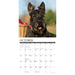 2025 Scotties Wall Calendar by  Willow Creek Press from Calendar Club