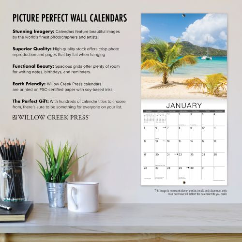 2025 Succulents Wall Calendar