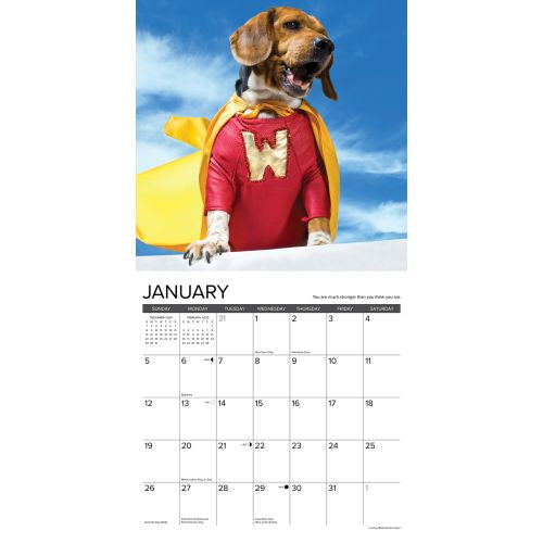 2025 What Dogs Teach Us Wall Calendar