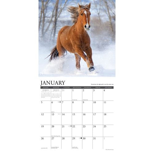 2025 What Horses Teach Us Wall Calendar