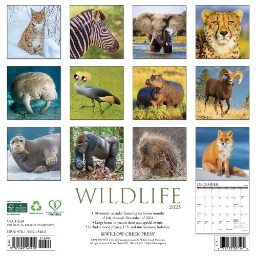 2025 Wildlife Wall Calendar by  Willow Creek Press from Calendar Club