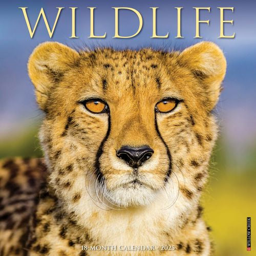 2025 Wildlife Wall Calendar by  Willow Creek Press from Calendar Club