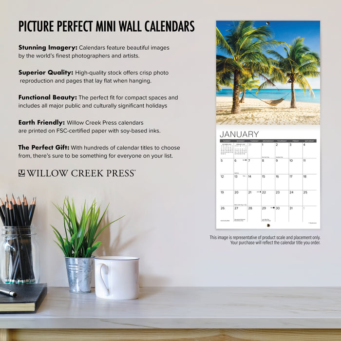 2025 Cat-astrophe Mini Wall Calendar by  Willow Creek Press from Calendar Club