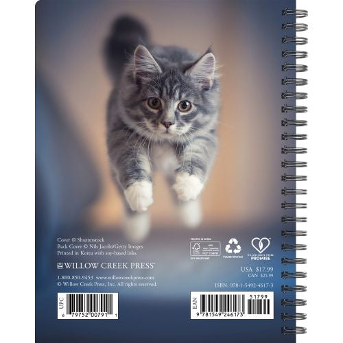 2025 What Cats Teach Us Engagement Diary