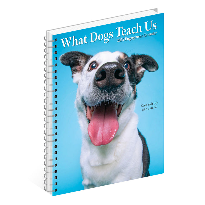 2025 What Dogs Teach Us Engagement Diary
