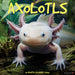 Axolotls 2026 Square Wall Calendar