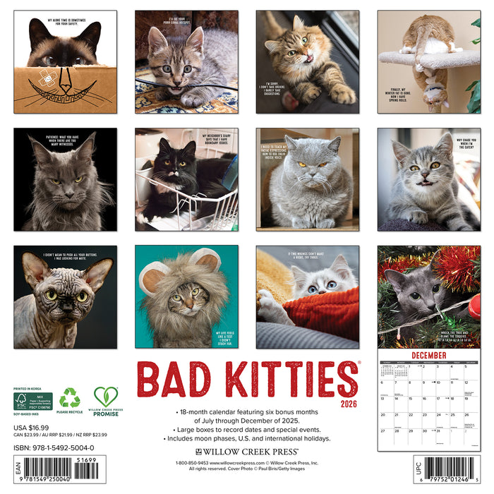 Bad Kitties 2026 Square Wall Calendar