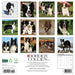 Border Collies 2026 Square Wall Calendar