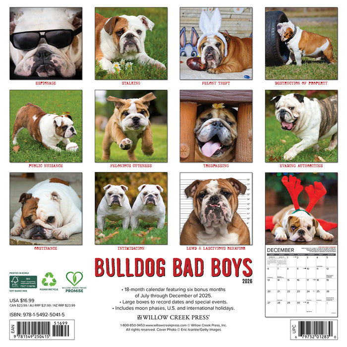 Bulldog Bad Boys 2026 Square Wall Calendar