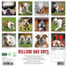 Bulldog Bad Boys 2026 Square Wall Calendar