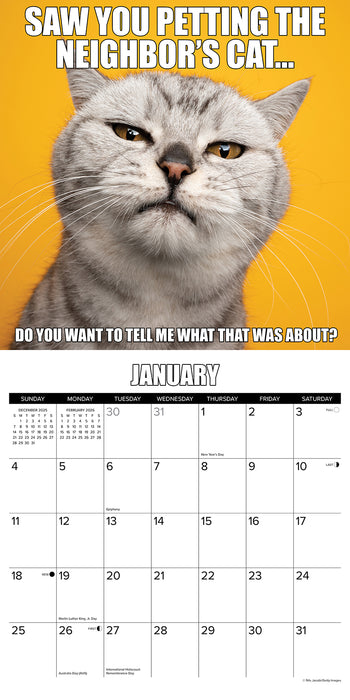 Catastrophe 2026 Square Wall Calendar