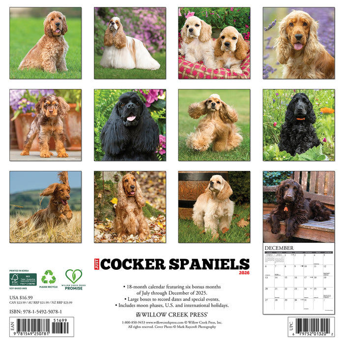 Cocker Spaniels 2026 Square Wall Calendar