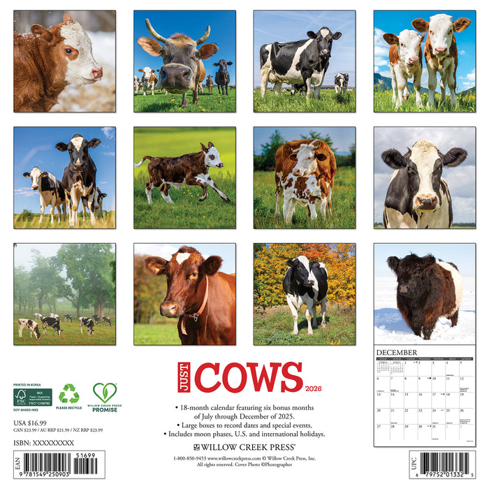 Cows 2026 Square Wall Calendar