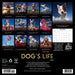 Dog's Life 2026 Square Wall Calendar