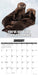 In Otter News 2026 Square Wall Calendar