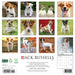 Jack Russells 2026 Square Wall Calendar