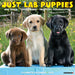 Lab Puppies 2026 Square Wall Calendar