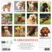 Labradoodles 2026 Square Wall Calendar
