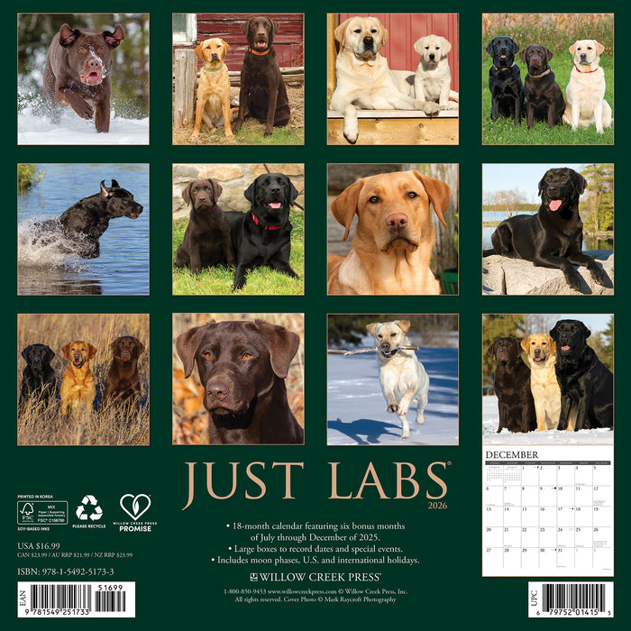 Labs 2026 Square Wall Calendar