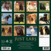 Labs 2026 Square Wall Calendar