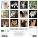 Maine Coon Cats 2026 Square Wall Calendar