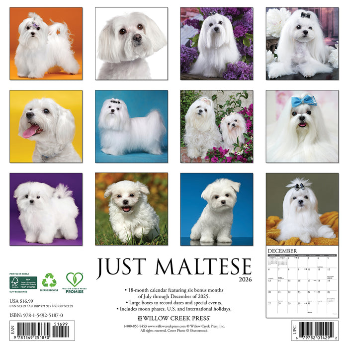 Maltese 2026 Square Wall Calendar