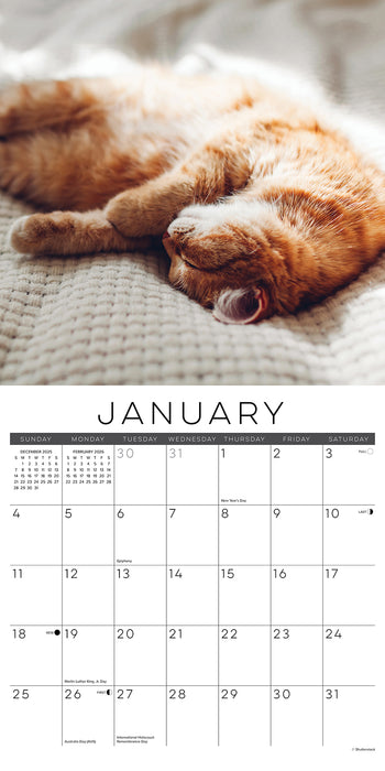 Naptime A Cat's Favorite Pastime 2026 Square Wall Calendar