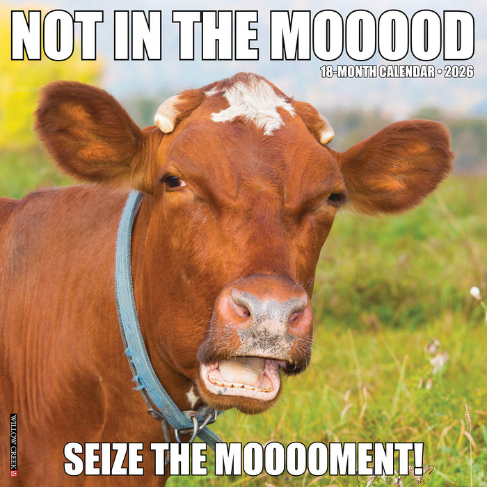 Not in the Mooood 2026 Square Wall Calendar