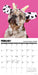 Pardon My Frenchie 2026 Square Wall Calendar