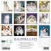 Ragdoll Cats 2026 Square Wall Calendar