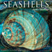 Seashells 2026 Square Wall Calendar