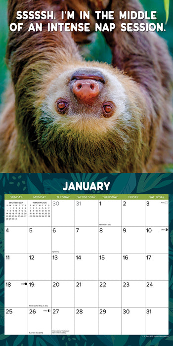 Sloth Mode 2026 Square Wall Calendar