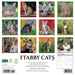 Tabby Cats 2026 Square Wall Calendar