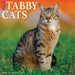Tabby Cats 2026 Square Wall Calendar