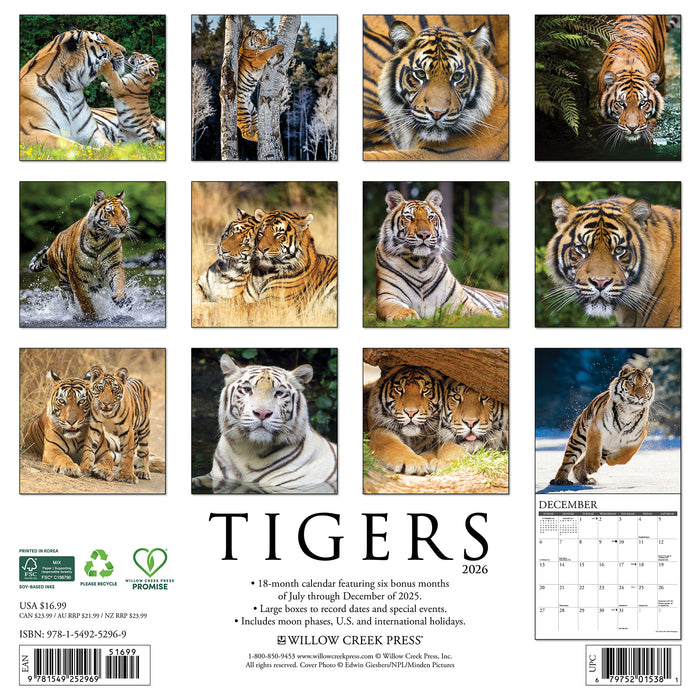 Tigers 2026 Square Wall Calendar
