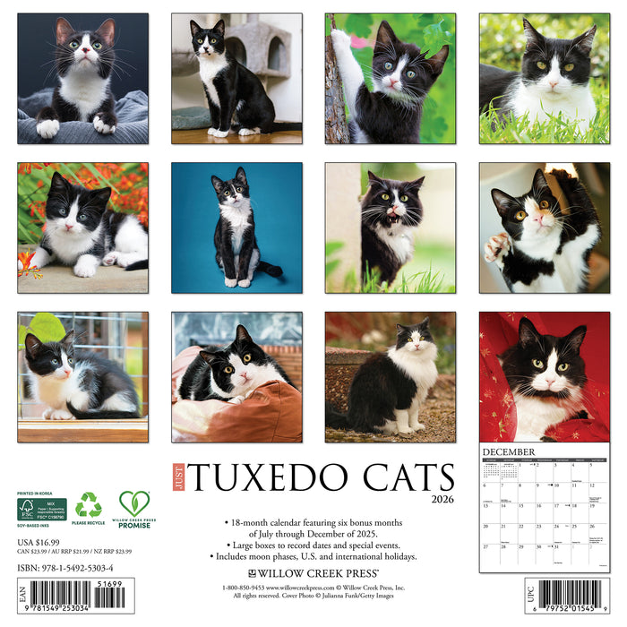 Tuxedo Cats 2026 Square Wall Calendar