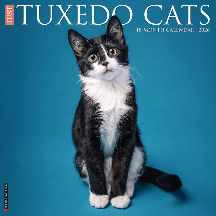 Tuxedo Cats 2026 Square Wall Calendar