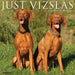 Vizslas 2026 Square Wall Calendar